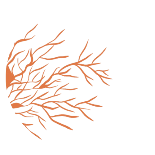 Marina Cintra - Psicóloga Clínica